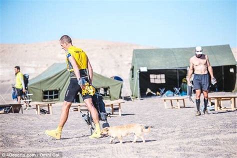 Gobi La Perra Sin Hogar Que Ganó El Corazón De Un Atleta Se Ha Perdido