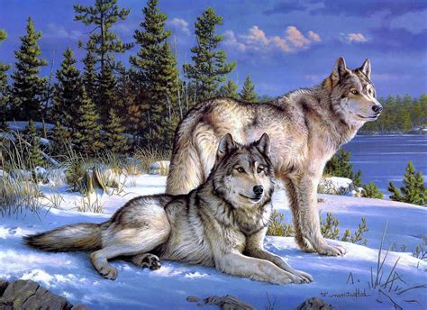 Find the best wolf wallpaper on wallpapertag. HD Wallpapers For PC Wolf - Wolf-Wallpapers.pro