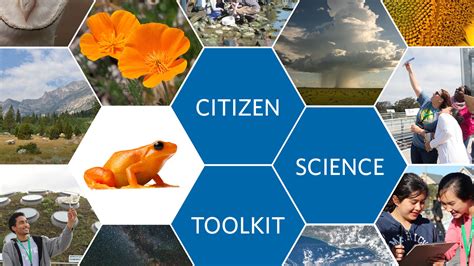 Citizen Science Toolkit California Academy Of Sciences