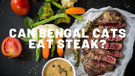 Sally has also volunteered over the years to help raise funds for various animal nonprofit organizations. Can Bengal Cats Eat Steak? - Authentic Bengal Cats