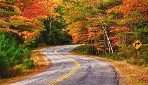 Experience The World Class Fall Colors Of The Smoky Mountains