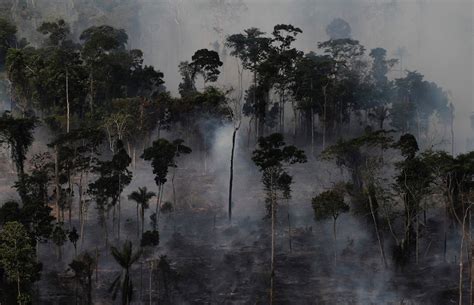 Why We Should All Worry About The Amazon Catching On Fire This Year