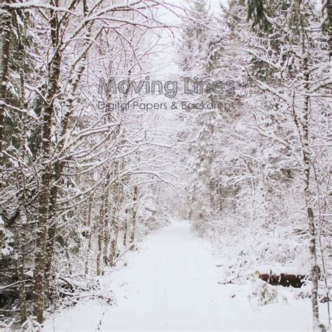 Winter Wonderland Photography Backdrop Snowy Woods Instant Etsy
