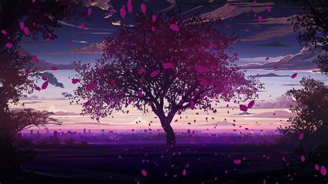24 Anime Cherry Blossom Wallpapers Wallpaperboat