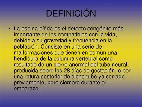 Ppt Espina BÍfida Powerpoint Presentation Free Download Id5526864