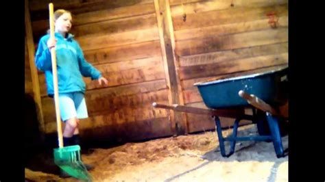 How To Clean A Horses Stall Fast And Easy Horse Stalls Stall