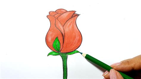 Hướng Dẫn Cách Vẽ Bông Hoa đẹp Nhất Với Cách Tạo độ Sâu Và Bóng đổ