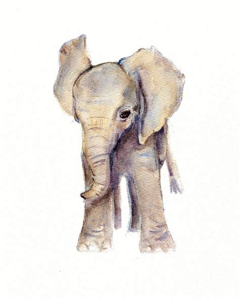 Baby Elephant Print From Original Watercolor 8 X 10 12