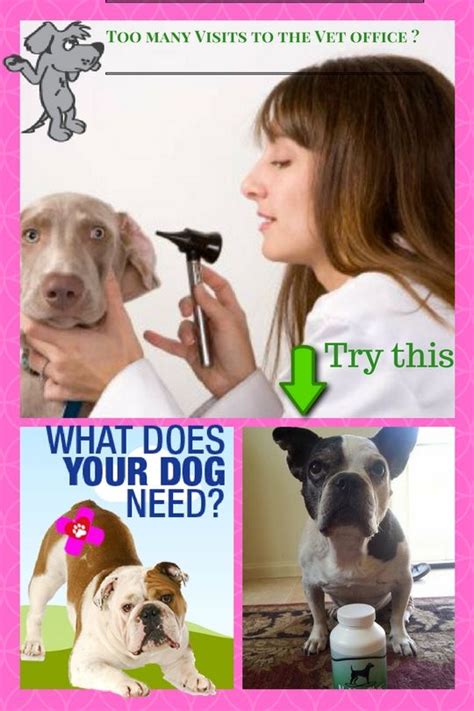 Never use a human shampoo on. English bulldog skin problems, canine skin issues and ...