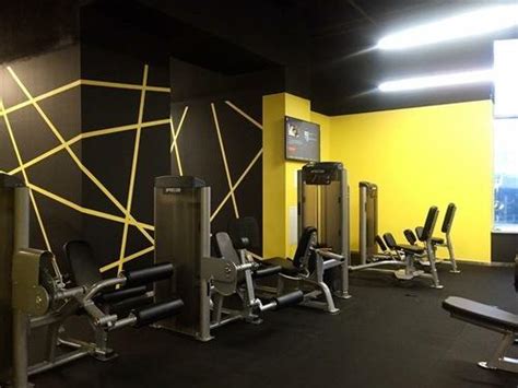 Gym Interior Designing Service At Rs 800square Feet जिम इंटीरियर