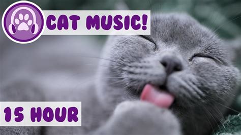 How To Relax My Cat Calming Music Videos For Cats Sleep Lullabies