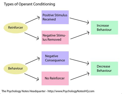 Operant Conditioning Flow Chart