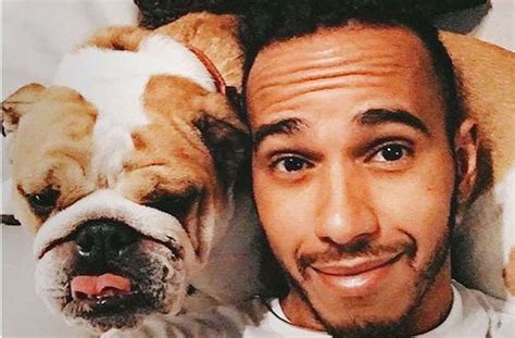 Jun 05, 2021 · entlaufener hund nach einem jahr wiedergefunden video: Sportsfreund des Tages: Lewis Hamilton und sein veganer ...