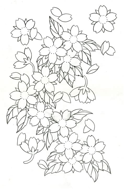 Sakura Flower Drawing Cherry Blossom Drawing Outline Cherry Blossom