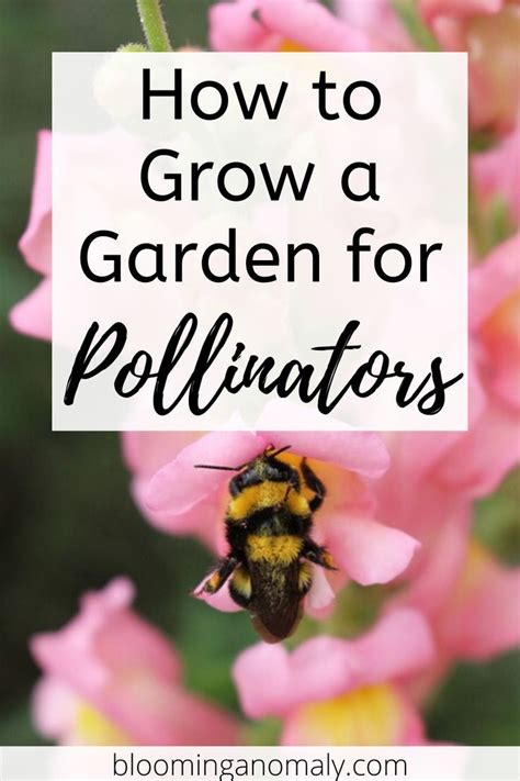 Cream to red flower, red fruit. How to Attract Pollinators to Your Garden - Blooming ...