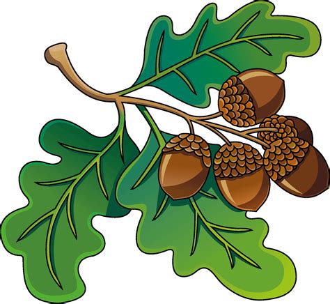 31100 Acorn Illustrations Royalty Free Vector Graphics And Clip Clip