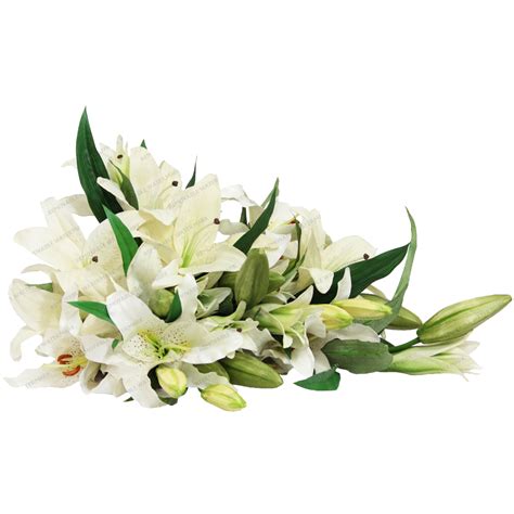 White Lily Bouquet [Model1] - $732.00 : Baby Clothes, Dog Clothes, Women Clothes, Ab Fab Boutiques