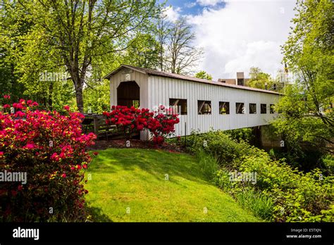 The Centennial covered bridge in Cottage Grove, Oregon, USA Stock Photo