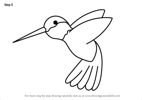 How To Draw A Hummingbird For Kids Animals For Kids Step By Step