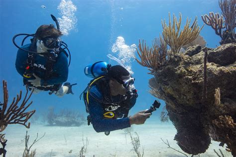 Underwater Photography Tips To Know For The Best Photos And Videos