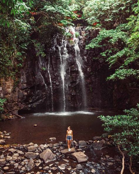 Ellinjaa Falls In Tropical Queensland Just Go Travelling