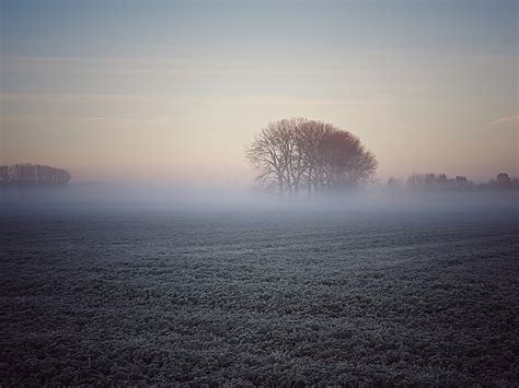 Tomorrow Fog Landscape Free Photo On Pixabay Pixabay
