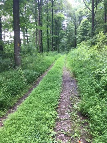Best 10 Hiking Trails In Middle Creek Wildlife Management Area Alltrails