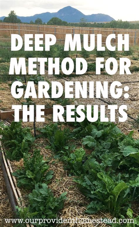 Why garden with the deep mulch back to eden method? Deep Mulch Method For Gardening: The Results | Organic ...