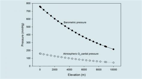 How Does Altitude Training Impact Running Performance Fitpage