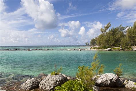 Grand Bahama Island Landscape Stock Photo Image Of Travel Bahamas