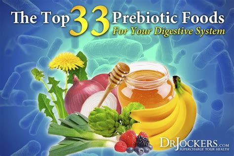 Probiotics are a form of good bacteria found in your gut which are responsible for everything from nutrient absorption to. The Top 33 Prebiotic Foods for Your Digestive System ...