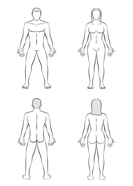 Blank Human Body Diagram Female Diagram Media