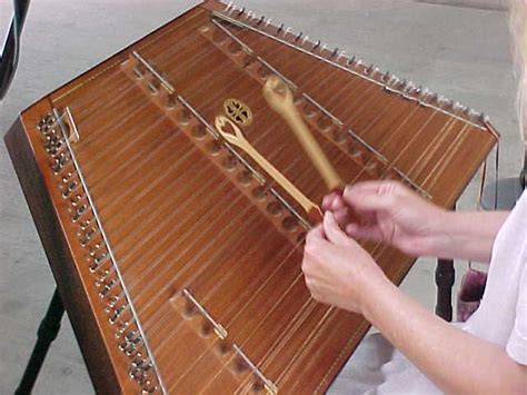 Instrumentos De Cuerda Pulsada Y Percutida