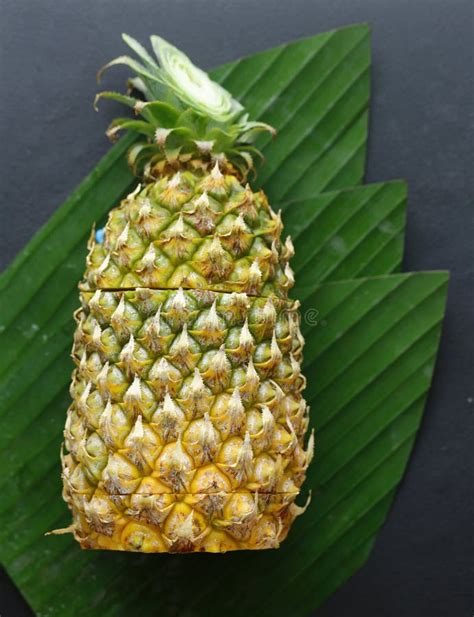 Tropical Fruit Pineapple Stock Image Image Of Tropical 143814351