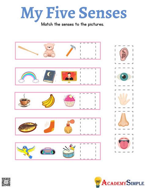 Five Senses Senses Organs Worksheet Find The Correct Sense Organ For