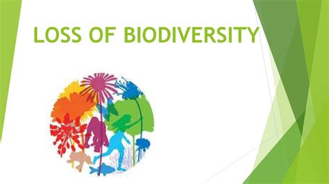 Loss Of Biodiversity презентация онлайн