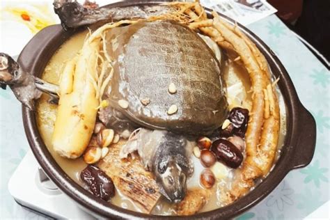 5 Trivia Yongbongtang Sup Kura Kura Dan Ayam Khas Korea