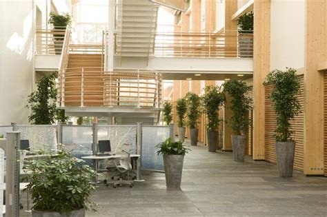 An Introduction To Biophilic Design For Offices Tsunami Axis