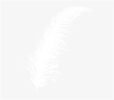 Ostrich Feather Png White Ostrich Feather Image Imagen Pluma Blanca