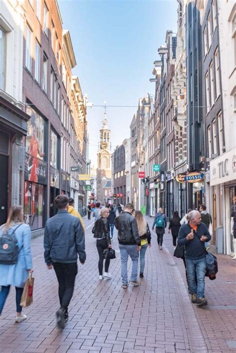 15 Beautiful Streets In Amsterdam That You Cant Miss Infonewslive