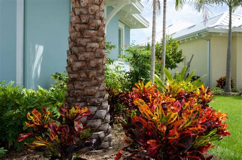 Key West Style Home Landscape In Naples Fl Tropical Landscape