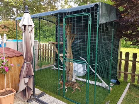 30 Cat Enclosures For Outdoors