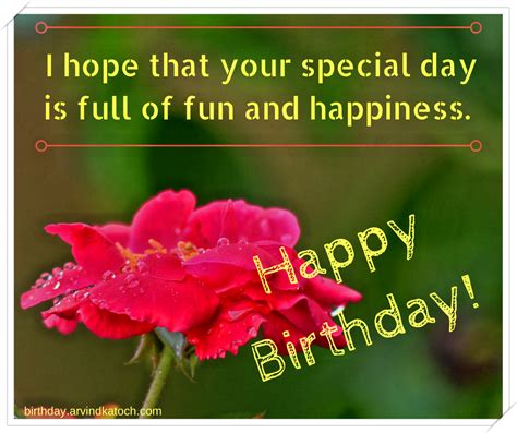 I Hope That Your Special Day Is Full Of Fun And Happiness Wet Rose