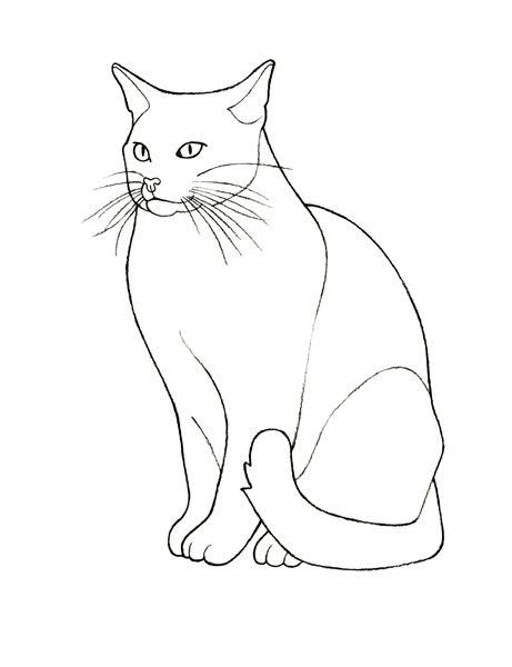 Cat Outline Drawing At Explore Collection Of Cat