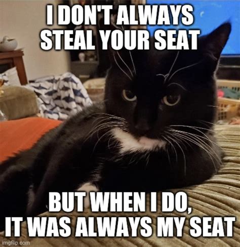 Our Tuxedo Is So Selfish We Made A Meme About Her Lol Rtuxedocats