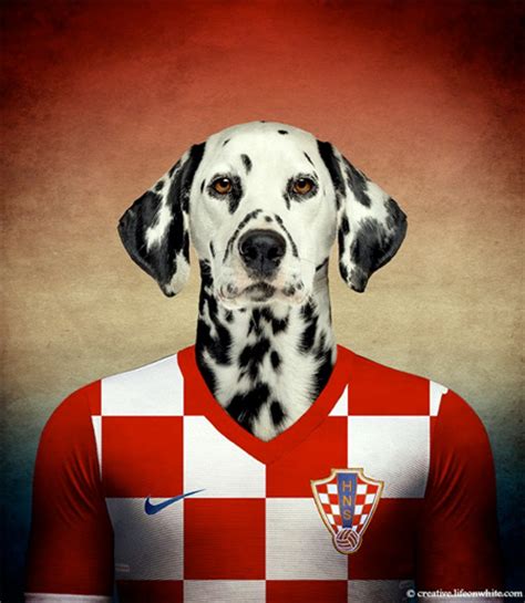 World Cup Dogs