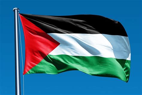 Palestinian Palestine Flag 90 X 150 Cm Atleast 3 Weeks To Etsy
