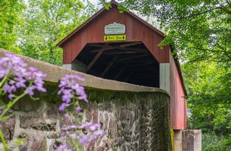 25 Free Things To Do In Bucks County Peace Valley Bucks County