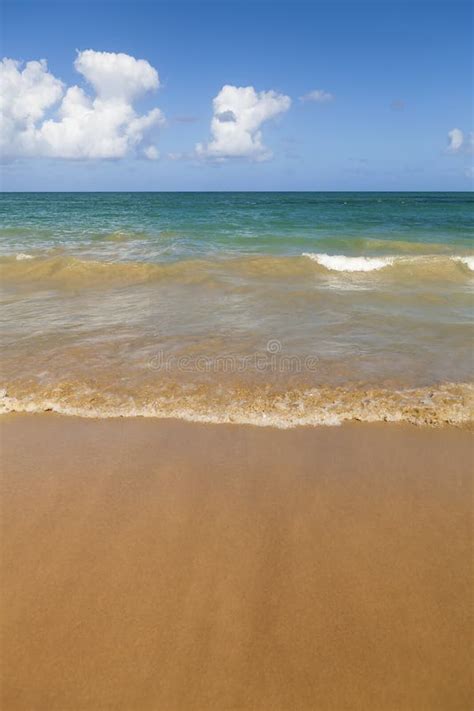ocean waves on sandy beach stock image image of ocean 82112979