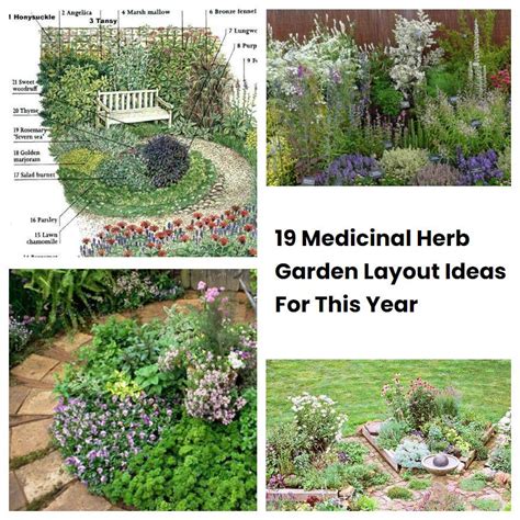 19 Medicinal Herb Garden Layout Ideas For This Year Sharonsable